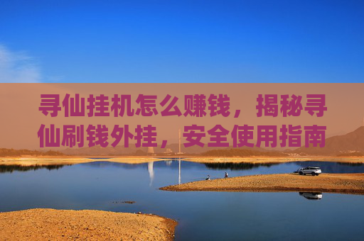 寻仙挂机怎么赚钱，揭秘寻仙刷钱外挂，安全使用指南与风险分析