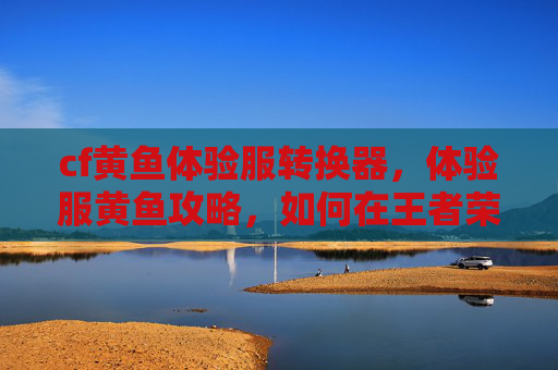 cf黄鱼体验服转换器，体验服黄鱼攻略，如何在王者荣耀中高效利用体验服资源