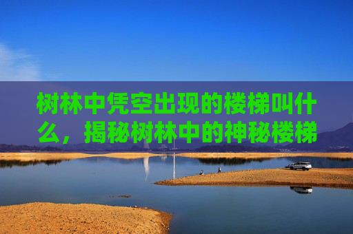树林中凭空出现的楼梯叫什么，揭秘树林中的神秘楼梯，一段未解之谜