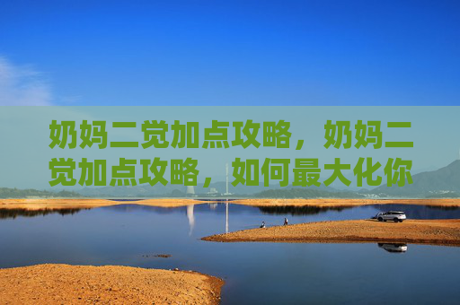 奶妈二觉加点攻略，奶妈二觉加点攻略，如何最大化你的奶妈角色潜力