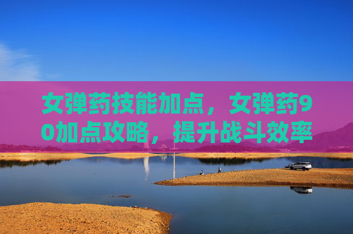 女弹药技能加点，女弹药90加点攻略，提升战斗效率的秘诀