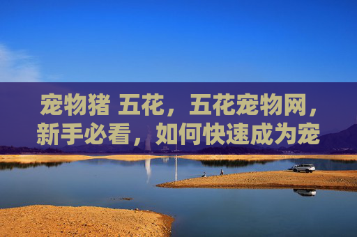 宠物猪 五花，五花宠物网，新手必看，如何快速成为宠物养护达人