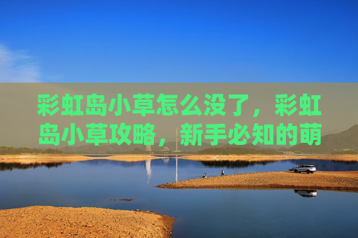 彩虹岛小草怎么没了，彩虹岛小草攻略，新手必知的萌新指南