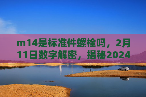 m14是标准件螺栓吗，2月11日数字解密，揭秘2024年的数字密码
