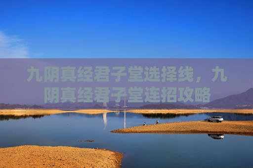 九阴真经君子堂选择线，九阴真经君子堂连招攻略