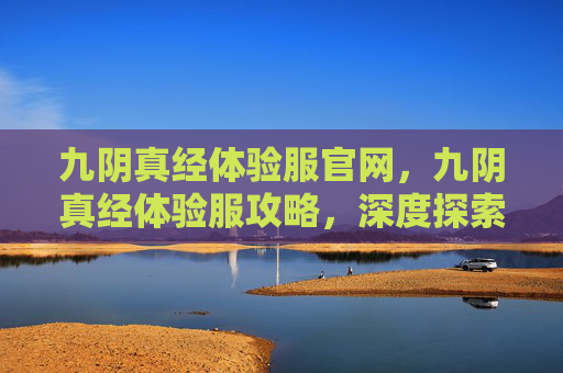 九阴真经体验服官网，九阴真经体验服攻略，深度探索与技巧分享