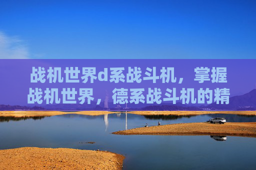 战机世界d系战斗机，掌握战机世界，德系战斗机的精髓与策略