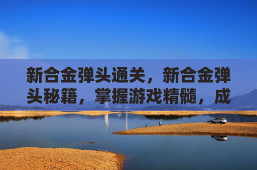 新合金弹头通关，新合金弹头秘籍，掌握游戏精髓，成为战场之王
