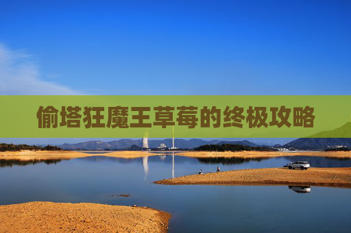 偷塔狂魔王草莓的终极攻略