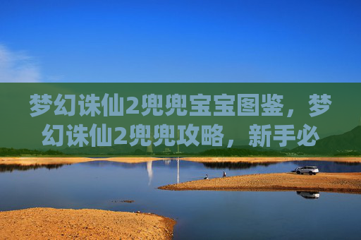 梦幻诛仙2兜兜宝宝图鉴，梦幻诛仙2兜兜攻略，新手必知的快速成长指南