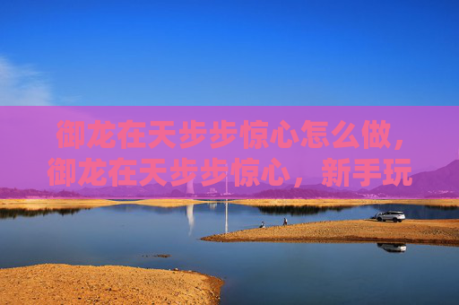 御龙在天步步惊心怎么做，御龙在天步步惊心，新手玩家的进阶攻略