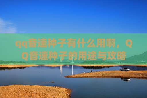 qq音速种子有什么用啊，QQ音速种子的用途与攻略