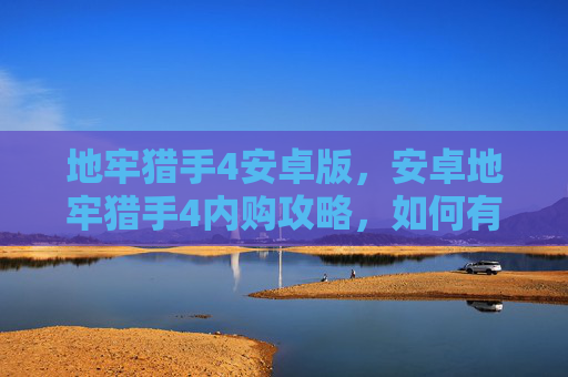 地牢猎手4安卓版，安卓地牢猎手4内购攻略，如何有效利用游戏内购买以提升游戏体验