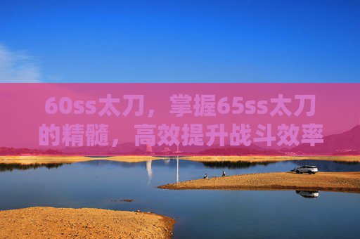 60ss太刀，掌握65ss太刀的精髓，高效提升战斗效率与技巧