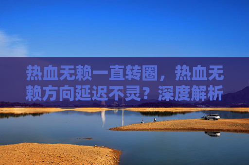 热血无赖一直转圈，热血无赖方向延迟不灵？深度解析与实用攻略