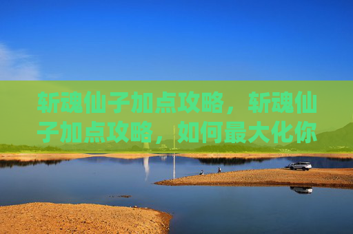 斩魂仙子加点攻略，斩魂仙子加点攻略，如何最大化你的战斗力