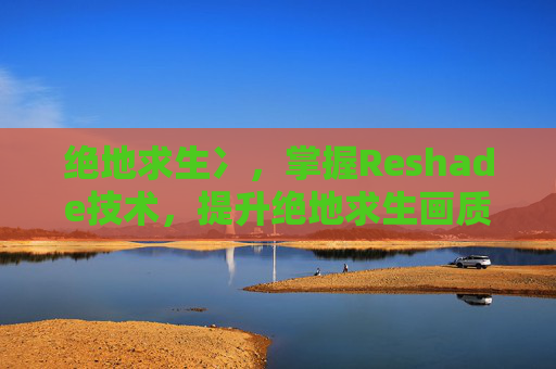 绝地求生冫，掌握Reshade技术，提升绝地求生画质的终极攻略
