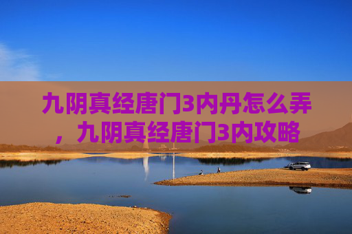 九阴真经唐门3内丹怎么弄，九阴真经唐门3内攻略