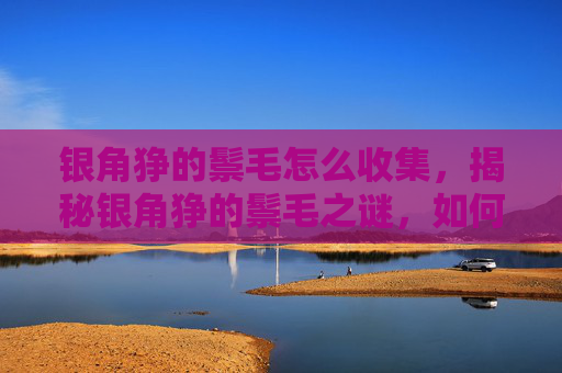 银角狰的鬃毛怎么收集，揭秘银角狰的鬃毛之谜，如何识别和理解其象征意义