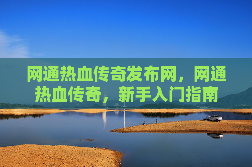 网通热血传奇发布网，网通热血传奇，新手入门指南