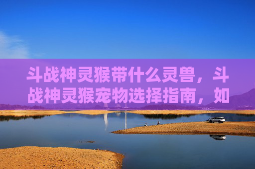 斗战神灵猴带什么灵兽，斗战神灵猴宠物选择指南，如何搭配你的神猴阵容