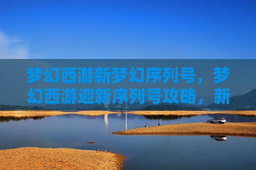 梦幻西游新梦幻序列号，梦幻西游迎新序列号攻略，新手必看，快速升级与获取丰厚奖励