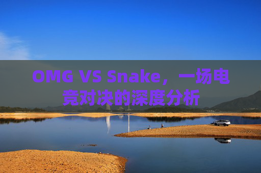 OMG VS Snake，一场电竞对决的深度分析