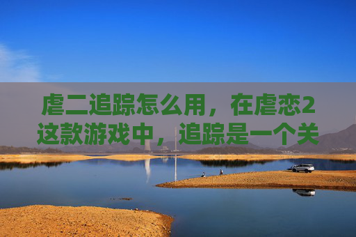 虐二追踪怎么用，在虐恋2这款游戏中，追踪是一个关键的技能。它可以帮助玩家更好地了解敌人的行动和位置，从而制定更有效的战术策略。下面我将为你介绍如何在游戏中有效地追踪敌人