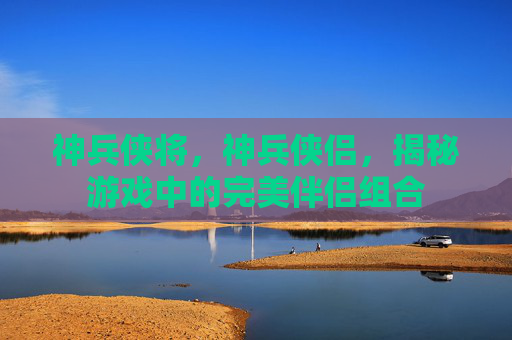 神兵侠将，神兵侠侣，揭秘游戏中的完美伴侣组合