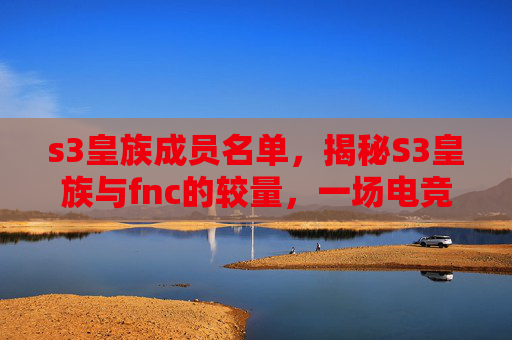 s3皇族成员名单，揭秘S3皇族与fnc的较量，一场电竞巅峰对决的背后故事
