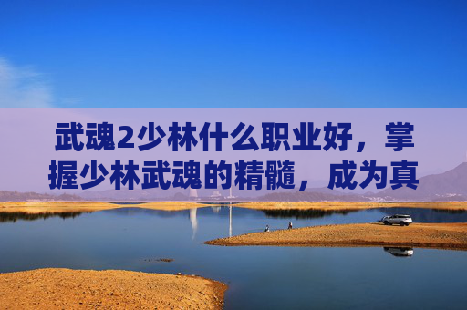 武魂2少林什么职业好，掌握少林武魂的精髓，成为真正的少林高手