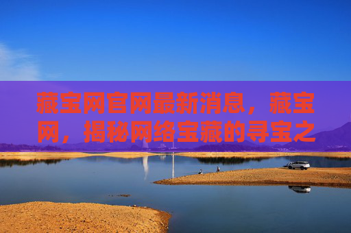 藏宝网官网最新消息，藏宝网，揭秘网络宝藏的寻宝之旅