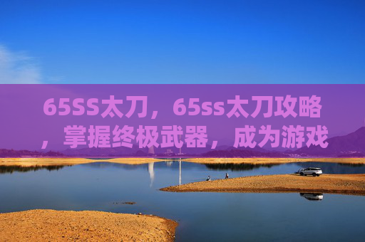 65SS太刀，65ss太刀攻略，掌握终极武器，成为游戏高手