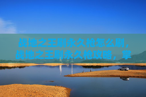 战地之王刷永久枪怎么刷，战地之王刷永久枪攻略，掌握技巧与策略，轻松获取你想要的枪械