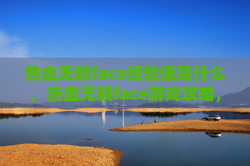 热血无赖face经验值是什么，热血无赖face游戏攻略，新手入门到高手进阶