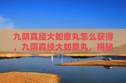 九阴真经大如意丸怎么获得，九阴真经大如意丸，揭秘其神秘配方与使用技巧