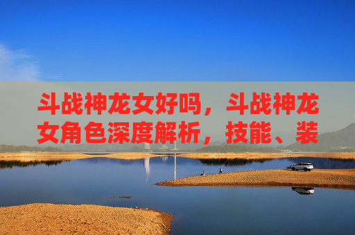 斗战神龙女好吗，斗战神龙女角色深度解析，技能、装备与战斗策略