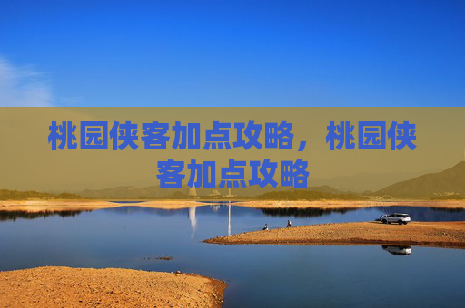 桃园侠客加点攻略，桃园侠客加点攻略