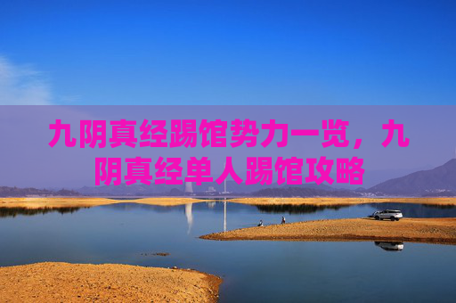 九阴真经踢馆势力一览，九阴真经单人踢馆攻略