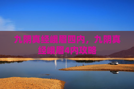 九阴真经峨眉四内，九阴真经峨眉4内攻略