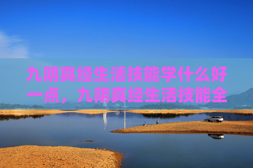 九阴真经生活技能学什么好一点，九阴真经生活技能全攻略，如何选择最适合自己的技能？