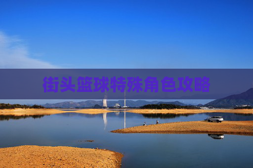 街头篮球特殊角色攻略
