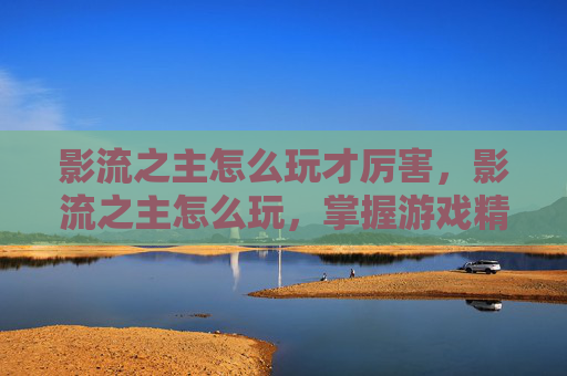 影流之主怎么玩才厉害,影流之主怎么玩,掌握游戏精髓,成为真正的刺客大师 影流之主怎么玩才厉害,影流之主怎么玩,掌握游戏精髓,成为真正的刺客大师