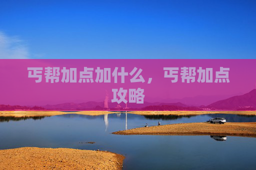 丐帮加点加什么,丐帮加点攻略 丐帮加点加什么,丐帮加点攻略