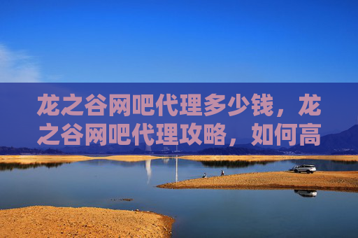 龙之谷网吧代理多少钱，龙之谷网吧代理攻略，如何高效利用网吧资源进行游戏