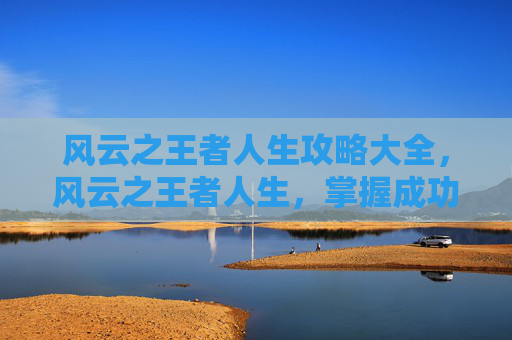 风云之王者人生攻略大全，风云之王者人生，掌握成功之道，成为真正的王者