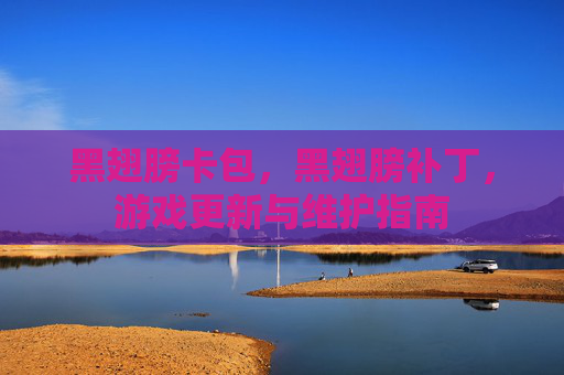 黑翅膀卡包，黑翅膀补丁，游戏更新与维护指南