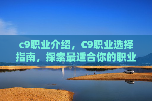 c9职业介绍，C9职业选择指南，探索最适合你的职业道路