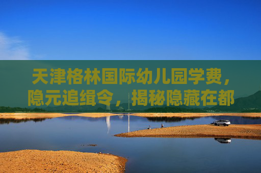 天津格林国际幼儿园学费，隐元追缉令，揭秘隐藏在都市中的神秘组织