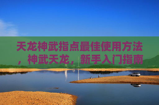 天龙神武指点最佳使用方法,神武天龙,新手入门指南与进阶攻略 天龙神武指点最佳使用方法,神武天龙,新手入门指南与进阶攻略